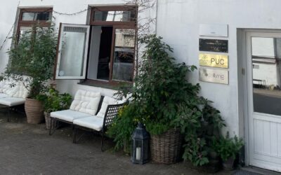 Ansøgning om indplacering på niveau 7