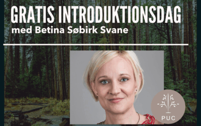 PUC inviterer på gratis introduktion til ISTDP